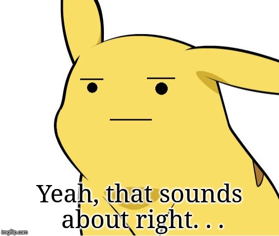 Pikachu Is Not Amused | Yeah, that sounds about right. . . | image tagged in pikachu is not amused | made w/ Imgflip meme maker