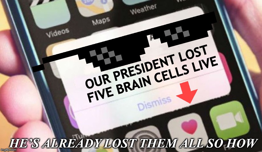 Where did my brain cells go?! | OUR PRESIDENT LOST FIVE BRAIN CELLS LIVE; HE’S ALREADY LOST THEM ALL SO HOW | image tagged in memes,presidential alert | made w/ Imgflip meme maker