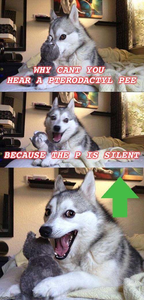 Da Pterodactyl | WHY CANT YOU HEAR A PTERODACTYL PEE; BECAUSE THE P IS SILENT | image tagged in memes,bad pun dog | made w/ Imgflip meme maker