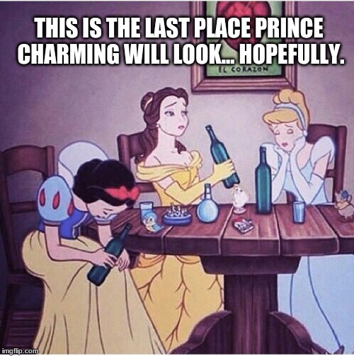 Drunk disney | THIS IS THE LAST PLACE PRINCE CHARMING WILL LOOK... HOPEFULLY. | image tagged in drunk disney | made w/ Imgflip meme maker