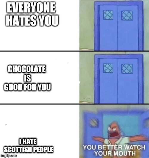 You better watch your mouth | EVERYONE HATES YOU; CHOCOLATE IS GOOD FOR YOU; I HATE SCOTTISH PEOPLE | image tagged in you better watch your mouth | made w/ Imgflip meme maker