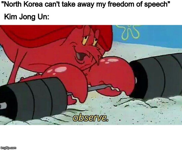 Observe | "North Korea can't take away my freedom of speech"; Kim Jong Un: | image tagged in observe | made w/ Imgflip meme maker