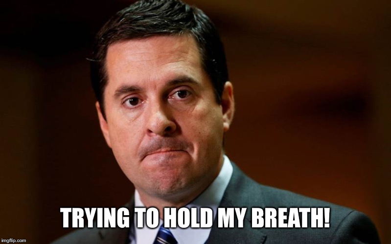 Devin Nunes | TRYING TO HOLD MY BREATH! | image tagged in devin nunes | made w/ Imgflip meme maker