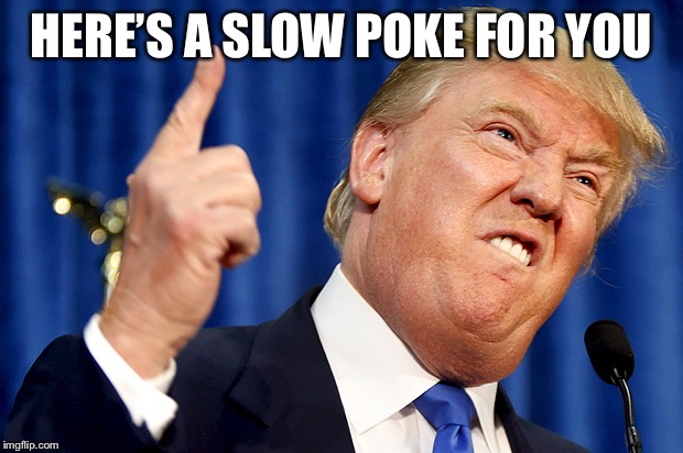 Donald Trump | HERE’S A SLOW POKE FOR YOU | image tagged in donald trump | made w/ Imgflip meme maker