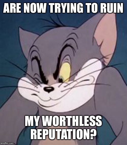 Tom cat | ARE NOW TRYING TO RUIN MY WORTHLESS REPUTATION? | image tagged in tom cat | made w/ Imgflip meme maker