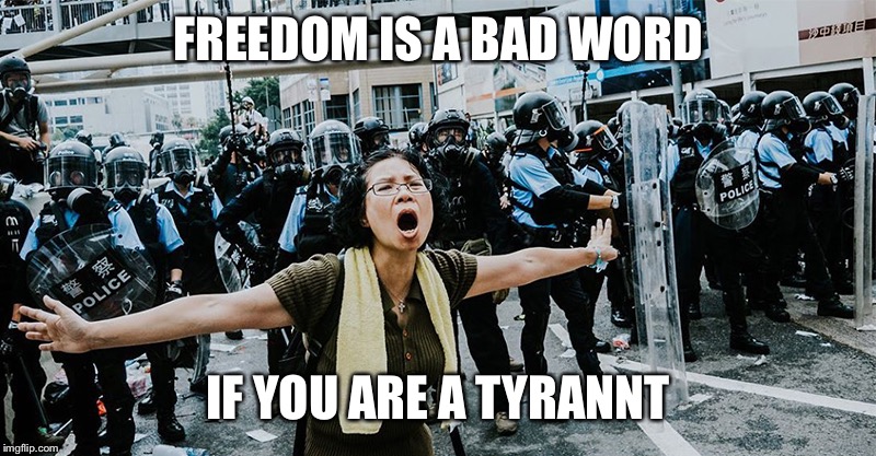 hong kong protest | FREEDOM IS A BAD WORD; IF YOU ARE A TYRANNT | image tagged in hong kong,freedom,tyranny | made w/ Imgflip meme maker