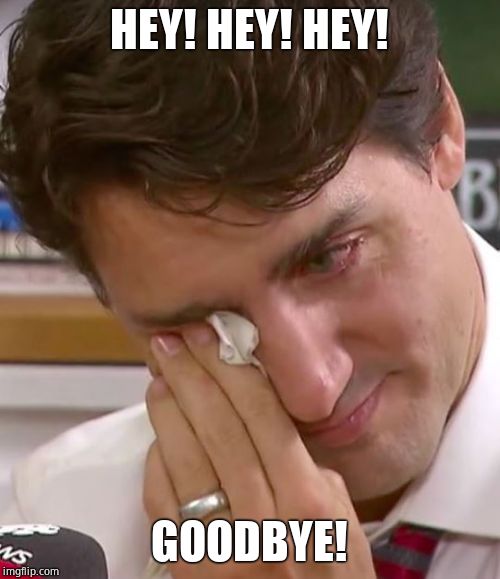 Justin Trudeau Crying | HEY! HEY! HEY! GOODBYE! | image tagged in justin trudeau crying | made w/ Imgflip meme maker
