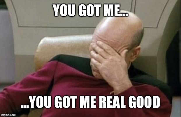 YOU GOT ME... ...YOU GOT ME REAL GOOD | image tagged in memes,captain picard facepalm | made w/ Imgflip meme maker