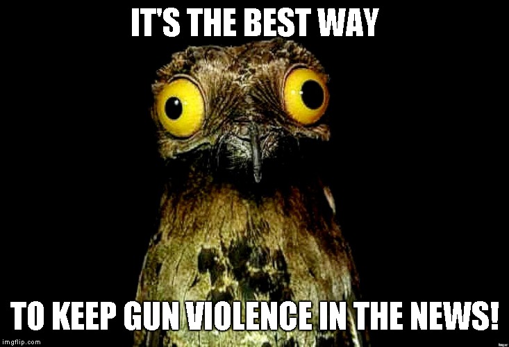 IT'S THE BEST WAY; TO KEEP GUN VIOLENCE IN THE NEWS! | made w/ Imgflip meme maker