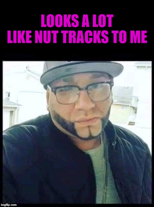 Don't want to chafe the nuts I guess...LOL | LOOKS A LOT LIKE NUT TRACKS TO ME | image tagged in nut tracks,memes,bad beard cuts,funny,balls on the chin,chafing | made w/ Imgflip meme maker