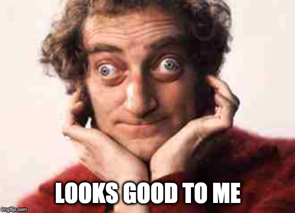 Marty Feldman - Looks good to me | LOOKS GOOD TO ME | image tagged in marty feldman - looks good to me | made w/ Imgflip meme maker