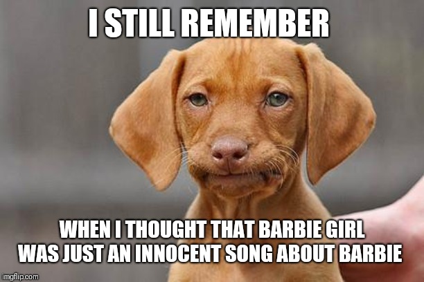 Dissapointed puppy | I STILL REMEMBER WHEN I THOUGHT THAT BARBIE GIRL WAS JUST AN INNOCENT SONG ABOUT BARBIE | image tagged in dissapointed puppy | made w/ Imgflip meme maker