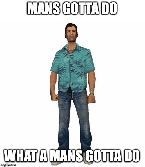 tommy vercetti | MANS GOTTA DO WHAT A MANS GOTTA DO | image tagged in tommy vercetti | made w/ Imgflip meme maker