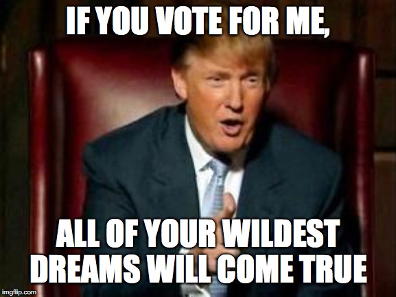 Donald Trump | IF YOU VOTE FOR ME, ALL OF YOUR WILDEST DREAMS WILL COME TRUE | image tagged in donald trump,napolean dynamite,potus45,vote,upvotes | made w/ Imgflip meme maker
