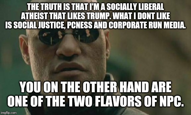 Brainwashed | THE TRUTH IS THAT I'M A SOCIALLY LIBERAL ATHEIST THAT LIKES TRUMP. WHAT I DONT LIKE IS SOCIAL JUSTICE, PCNESS AND CORPORATE RUN MEDIA. YOU ON THE OTHER HAND ARE ONE OF THE TWO FLAVORS OF NPC. | image tagged in memes,matrix morpheus,liberal,leftist,conservative,sheeple | made w/ Imgflip meme maker