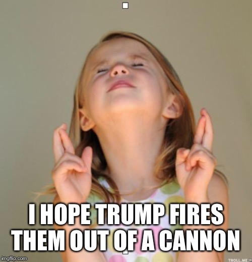 I wish | I HOPE TRUMP FIRES THEM OUT OF A CANNON | image tagged in i wish | made w/ Imgflip meme maker