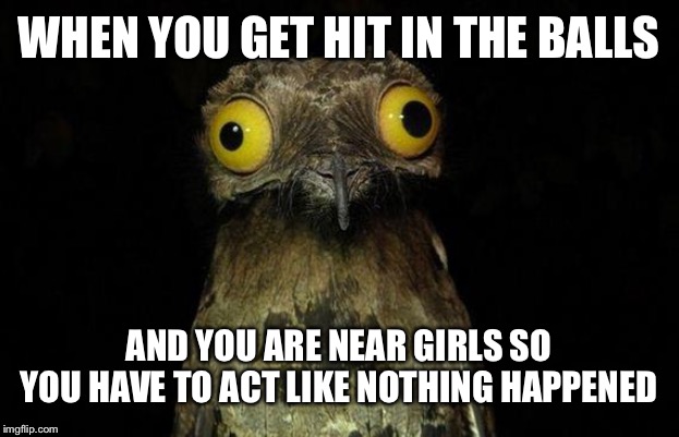 all men know this struggle | WHEN YOU GET HIT IN THE BALLS; AND YOU ARE NEAR GIRLS SO YOU HAVE TO ACT LIKE NOTHING HAPPENED | image tagged in memes,weird stuff i do potoo,pain,the struggle is real | made w/ Imgflip meme maker