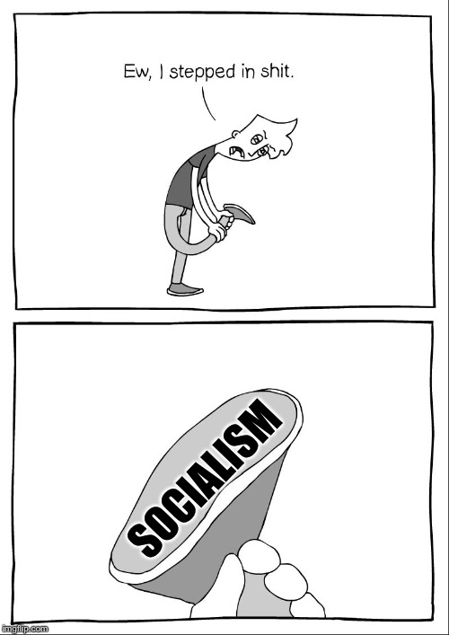 Ew, i stepped in shit | SOCIALISM | image tagged in ew i stepped in shit | made w/ Imgflip meme maker