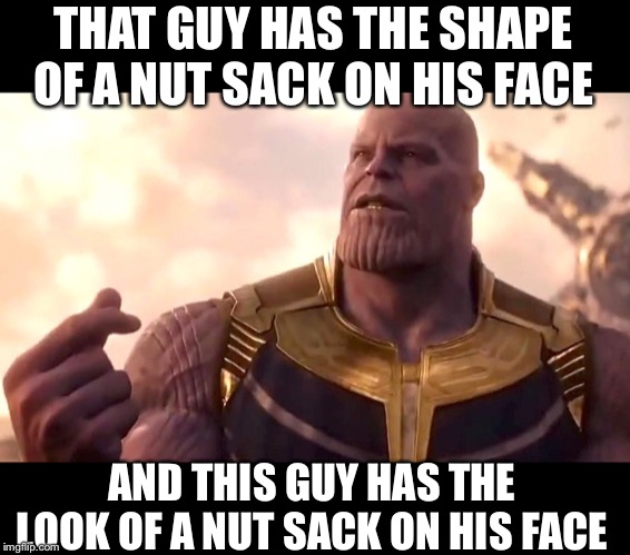thanos snap | THAT GUY HAS THE SHAPE OF A NUT SACK ON HIS FACE AND THIS GUY HAS THE LOOK OF A NUT SACK ON HIS FACE | image tagged in thanos snap | made w/ Imgflip meme maker
