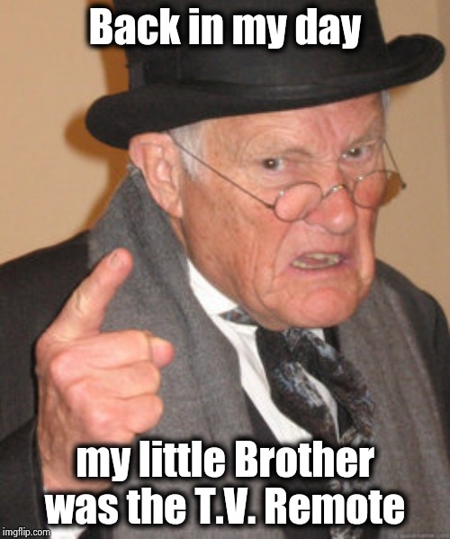 Back In My Day Meme | Back in my day my little Brother was the T.V. Remote | image tagged in memes,back in my day | made w/ Imgflip meme maker