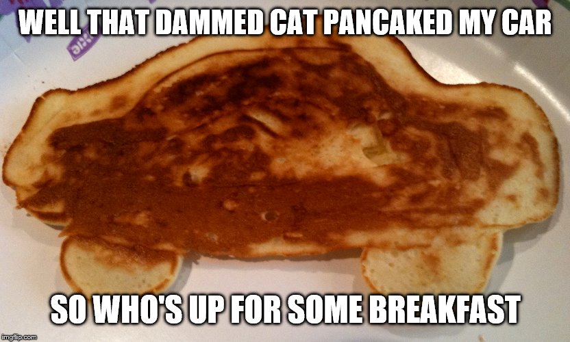 WELL THAT DAMMED CAT PANCAKED MY CAR SO WHO'S UP FOR SOME BREAKFAST | made w/ Imgflip meme maker