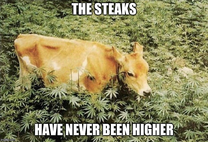 The steaks have never been higher r/funny