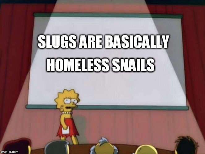 Slugs | HOMELESS SNAILS; SLUGS ARE BASICALLY | image tagged in lisa petition meme,slugs,homeless,meme,snail | made w/ Imgflip meme maker