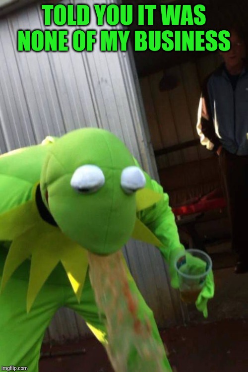 Next time, keep it to yourself | TOLD YOU IT WAS NONE OF MY BUSINESS | image tagged in kermit pukes | made w/ Imgflip meme maker