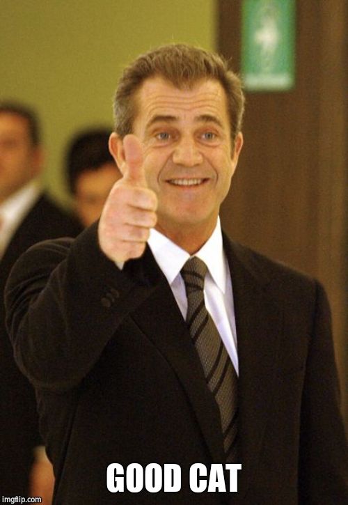 Mel Gibson Approves | GOOD CAT | image tagged in mel gibson approves | made w/ Imgflip meme maker