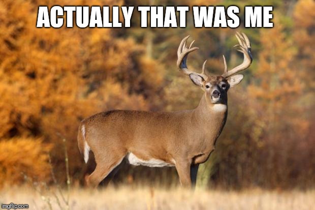 whitetail deer | ACTUALLY THAT WAS ME | image tagged in whitetail deer | made w/ Imgflip meme maker