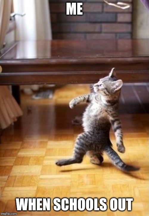 Cool Cat Stroll Meme | ME; WHEN SCHOOLS OUT | image tagged in memes,cool cat stroll | made w/ Imgflip meme maker