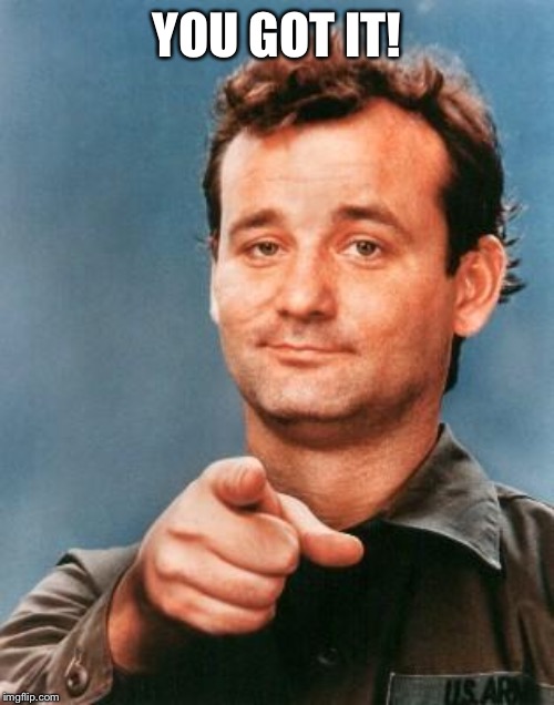 Bill Murray You're Awesome | YOU GOT IT! | image tagged in bill murray you're awesome | made w/ Imgflip meme maker