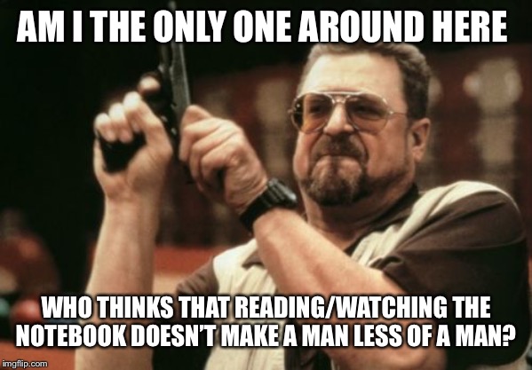 Seriously! What the fuck do you care!? It’s not hurting anyfuckingbody! Bugger off! | AM I THE ONLY ONE AROUND HERE; WHO THINKS THAT READING/WATCHING THE NOTEBOOK DOESN’T MAKE A MAN LESS OF A MAN? | image tagged in memes,am i the only one around here | made w/ Imgflip meme maker