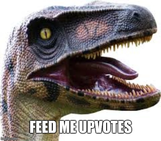 FEED ME UPVOTES | image tagged in riddle raptor | made w/ Imgflip meme maker
