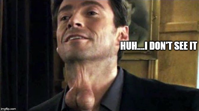 HUH....I DON'T SEE IT | made w/ Imgflip meme maker