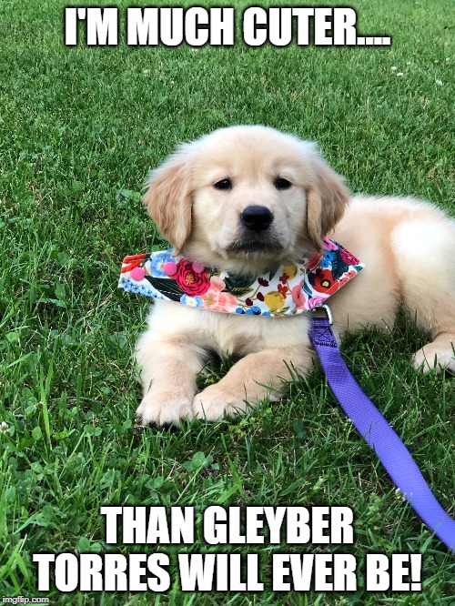 I'M MUCH CUTER.... THAN GLEYBER TORRES WILL EVER BE! | made w/ Imgflip meme maker