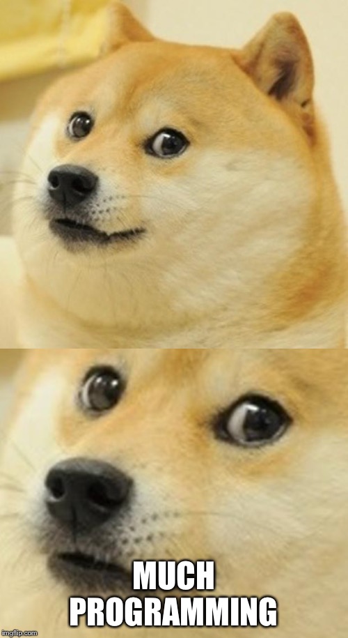 MUCH PROGRAMMING | image tagged in memes,doge | made w/ Imgflip meme maker