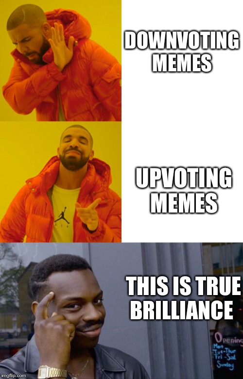True dat. Now good sir, may I have an upvote. | DOWNVOTING MEMES; UPVOTING MEMES; THIS IS TRUE BRILLIANCE | image tagged in memes,drake hotline bling | made w/ Imgflip meme maker