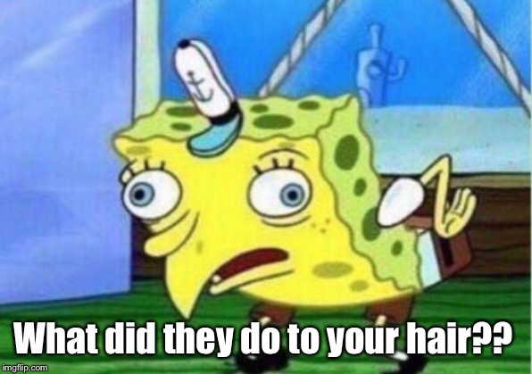 Mocking Spongebob Meme | What did they do to your hair?? | image tagged in memes,mocking spongebob | made w/ Imgflip meme maker