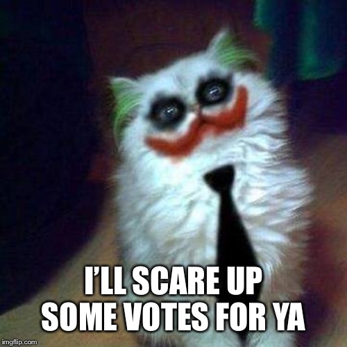 I’LL SCARE UP SOME VOTES FOR YA | made w/ Imgflip meme maker