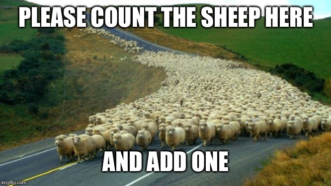sheep | PLEASE COUNT THE SHEEP HERE AND ADD ONE | image tagged in sheep | made w/ Imgflip meme maker