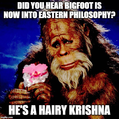 Namaste Sasquatch! | DID YOU HEAR BIGFOOT IS NOW INTO EASTERN PHILOSOPHY? HE'S A HAIRY KRISHNA | image tagged in bigfoot,sasquatch,big foot,hare krishna,eastern philosophy,eastern religion | made w/ Imgflip meme maker