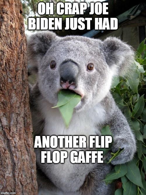 Surprised Koala Meme | OH CRAP JOE BIDEN JUST HAD; ANOTHER FLIP FLOP GAFFE | image tagged in memes,surprised koala | made w/ Imgflip meme maker