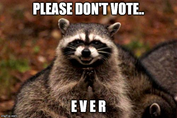 Evil Plotting Raccoon Meme | PLEASE DON'T VOTE.. E V E R | image tagged in memes,evil plotting raccoon | made w/ Imgflip meme maker