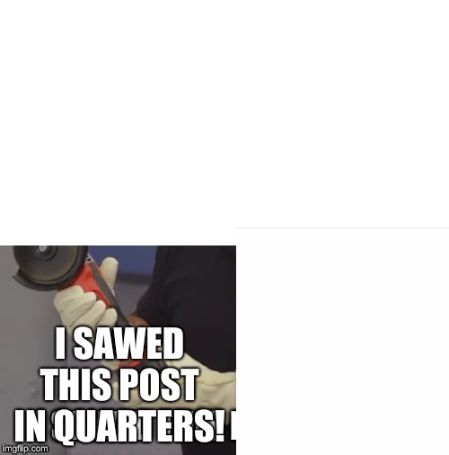 I SAWED THIS POST IN QUARTERS! | made w/ Imgflip meme maker