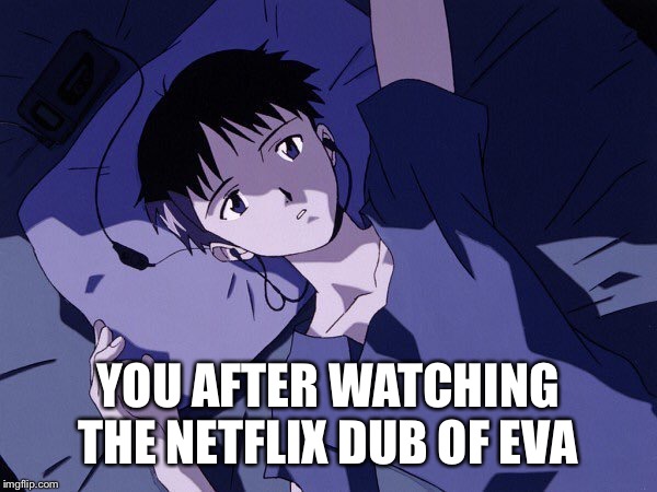 YOU AFTER WATCHING THE NETFLIX DUB OF EVA | image tagged in netflix,neon genesis evangelion | made w/ Imgflip meme maker