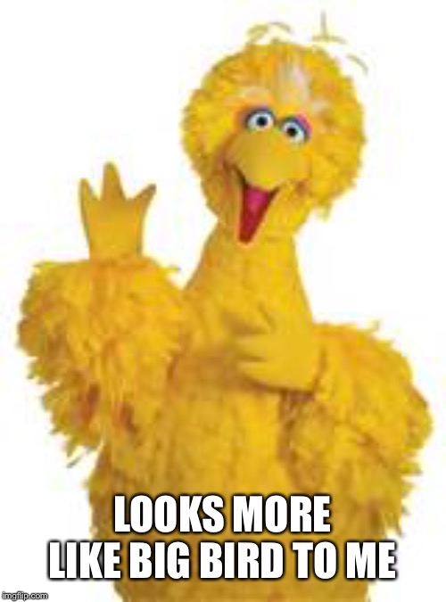 Big bird | LOOKS MORE LIKE BIG BIRD TO ME | image tagged in big bird | made w/ Imgflip meme maker