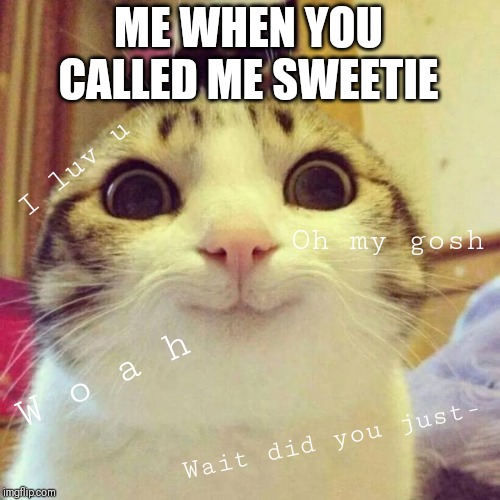 Smiling Cat Meme | ME WHEN YOU CALLED ME SWEETIE; I luv u; Oh my gosh; W o a h; Wait did you just- | image tagged in memes,smiling cat | made w/ Imgflip meme maker