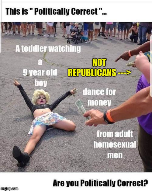 NOT REPUBLICANS ---> | made w/ Imgflip meme maker