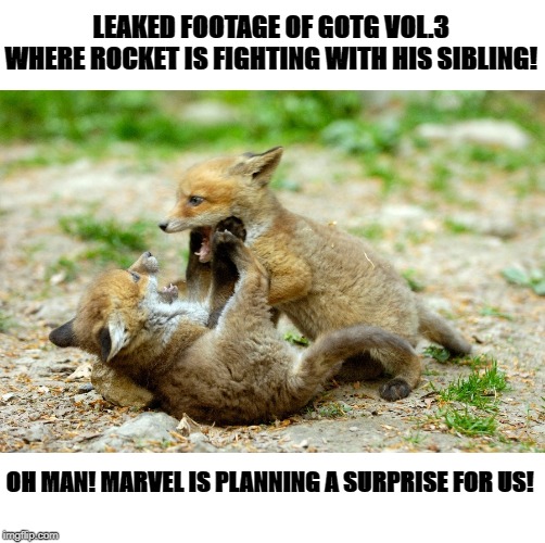 Rocket Raccoon & his sibling in GOTG VOL.3 | LEAKED FOOTAGE OF GOTG VOL.3 WHERE ROCKET IS FIGHTING WITH HIS SIBLING! OH MAN! MARVEL IS PLANNING A SURPRISE FOR US! | image tagged in guardians of the galaxy,rocket raccoon,marvel,mcu | made w/ Imgflip meme maker